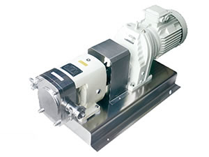 Rotary Lobe Pump