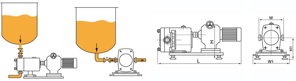 Rotary Lobe Pump